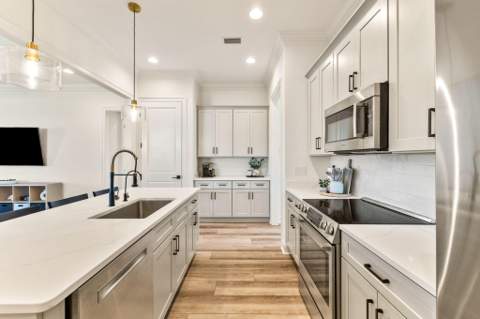 120 Suwannee Drive, Inlet Beach FL - photo 18 of 59