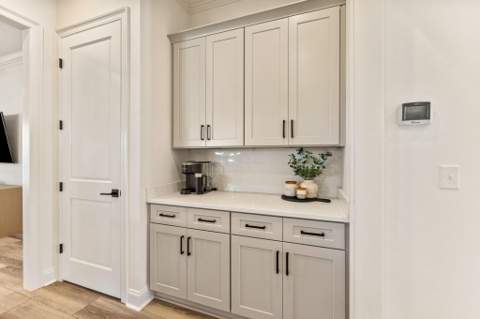 120 Suwannee Drive, Inlet Beach FL - photo 22 of 59