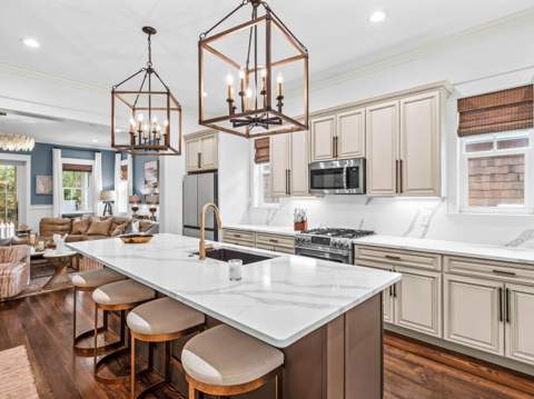 265 Artesian Way, Watersound FL - photo 10 of 40
