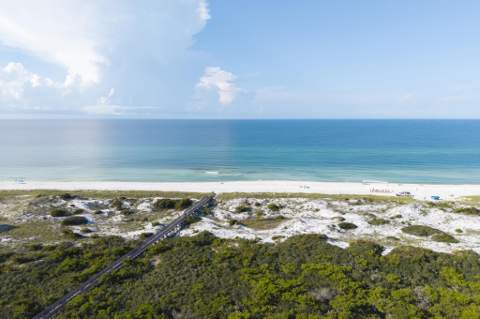 157 Valdare Lane, Inlet Beach FL - photo 23 of 24