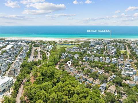 273 Salt Box Lane, Watersound FL - photo 9 of 23