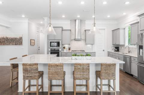 68 S Prominence Square, Inlet Beach FL - photo 14 of 55