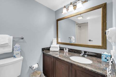 200 W Sandestin Boulevard ## 6579, Miramar Beach FL - photo 8 of 26