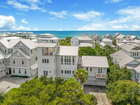 325 Walton Rose Lane, Inlet Beach FL - photo 6 of 63
