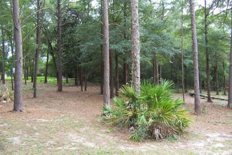 141 Silk Oak Drive, DeFuniak Springs FL - photo 6 of 28