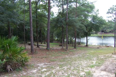 141 Silk Oak Drive, DeFuniak Springs FL - photo 7 of 28