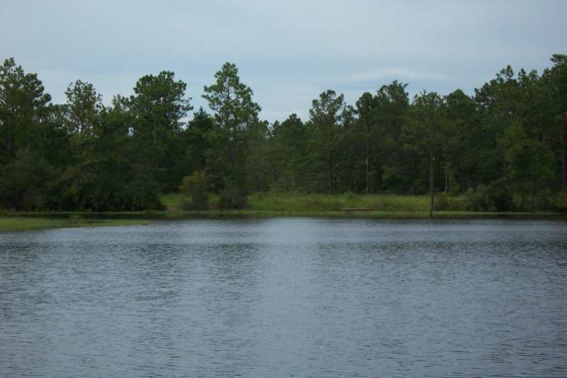 1 bedroom Detached Single Family at 141 Silk Oak Drive, Oakwood Hills Unit 3, DeFuniak Springs — photo 1