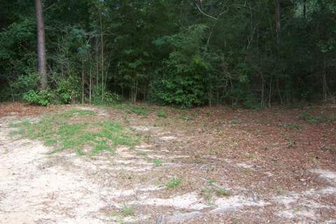 141 Silk Oak Drive, DeFuniak Springs FL - photo 22 of 28