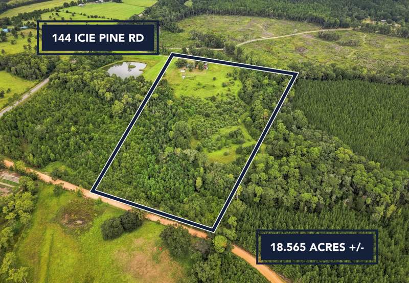 4 bedroom Detached Single Family at 144 Icie Pine Rd Road, Westville, Westville — photo 4