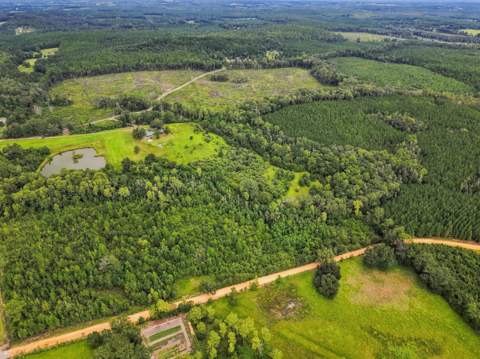 144 Icie Pine Rd Road, Westville FL - photo 12 of 31