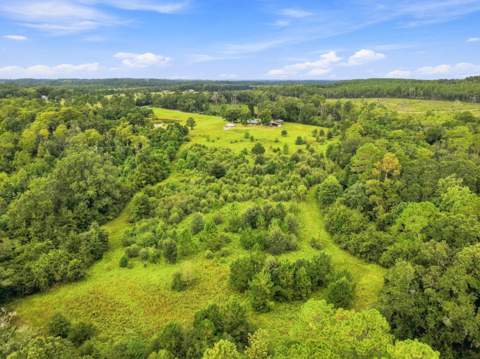 144 Icie Pine Rd Road, Westville FL - photo 6 of 31