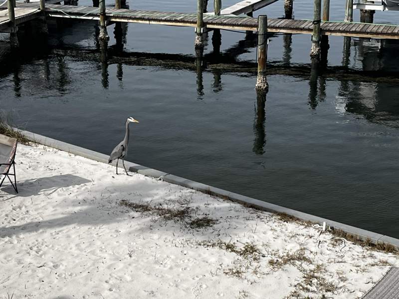 2 bedroom Condominium at 333 Bluefish Drive #108, Waterway Condo, Fort Walton Beach — photo 5
