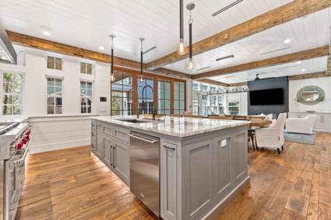 58 Coopersmith Lane, Inlet Beach FL - photo 21 of 130