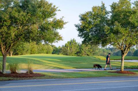 TBD Suwannee Drive #Lot 9, Watersound FL - photo 6 of 22