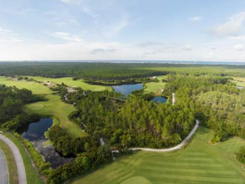 TBD Suwannee Drive #Lot 9, Watersound FL - photo 7 of 22