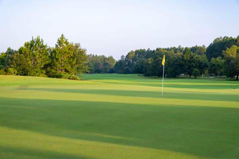TBD Suwannee Drive #Lot 9, Watersound FL - photo 9 of 22