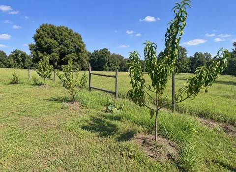 8056 Yellow River Baptist Church, Baker FL - photo 11 of 21