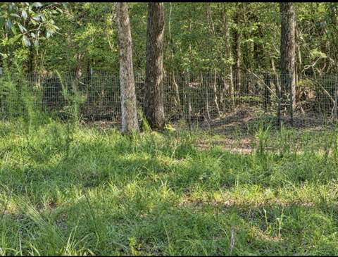8056 Yellow River Baptist Church, Baker FL - photo 20 of 21