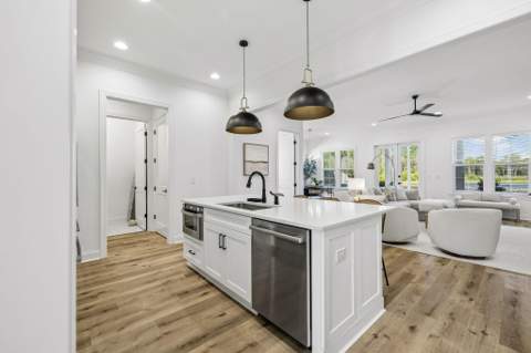46 Green Heron Street, Inlet Beach FL - photo 11 of 45