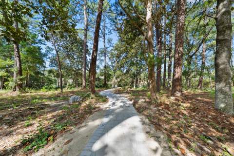 769 Old Ferry Road, Santa Rosa Beach FL - photo 8 of 55