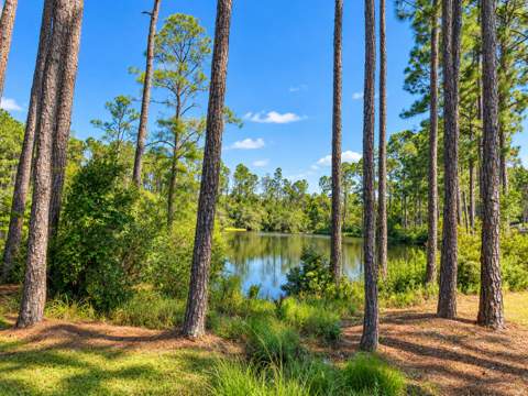 19 Sugar Sands Drive, Santa Rosa Beach FL - photo 22 of 26