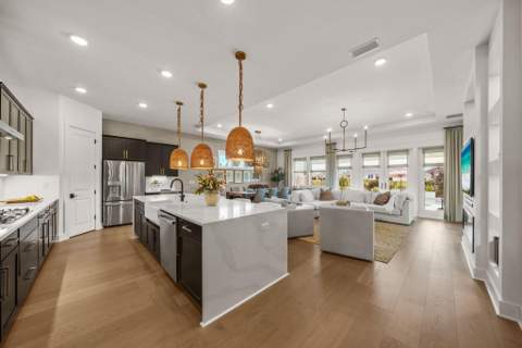 120 Anastasia Circle, Inlet Beach FL - photo 17 of 92