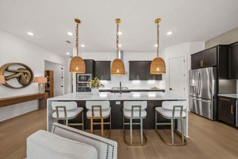 120 Anastasia Circle, Inlet Beach FL - photo 13 of 92