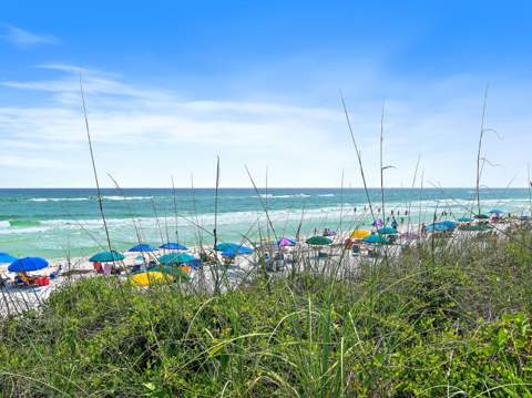 297 Cassine Garden Circle, Santa Rosa Beach FL - photo 10 of 85
