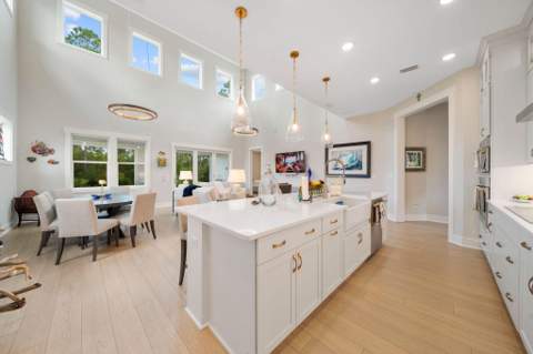 93 Orman Court, Inlet Beach FL - photo 24 of 74