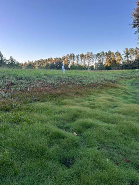 147 Catahoula Road, Ponce De Leon FL - photo 10 of 42