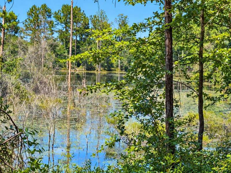 3 bedroom Detached Single Family at 1154 Oakwood Lakes Boulevard, Oakwood Lakes Estates, DeFuniak Springs — photo 4
