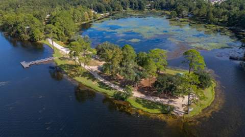 699 Squirrel Road, DeFuniak Springs FL - photo 12 of 17