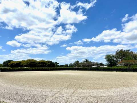 2705 Appaloosa Trail, Wellington FL - photo 9 of 35
