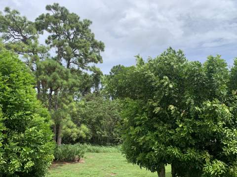 29 Lake Vista Trail #201, Port St. Lucie FL - photo 19 of 20