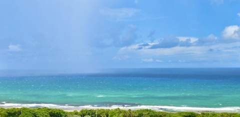 4101 N Ocean Boulevard #1604, Boca Raton FL - photo 6 of 57