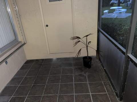 414 Pine Glen Lane #B-1, Greenacres FL - photo 6 of 7