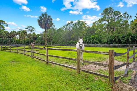 2915 Doe Trail, The Acreage FL - photo 6 of 31