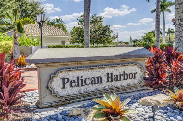 Pelican Harbor