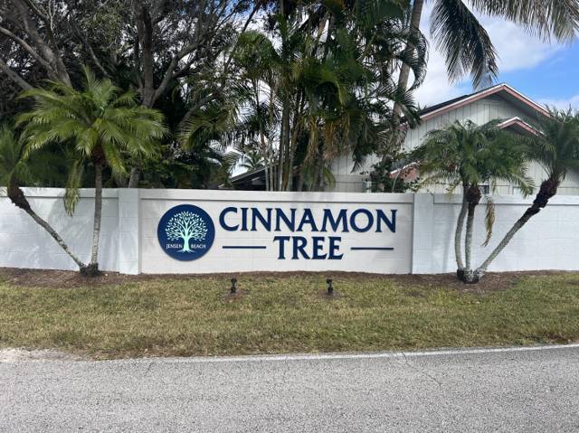 Cinnamon Tree