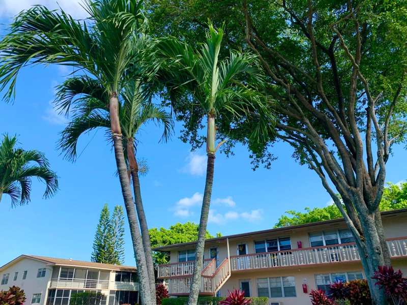 1 bedroom Condominium at 116 Canterbury, Century Village, West Palm Beach — photo 1