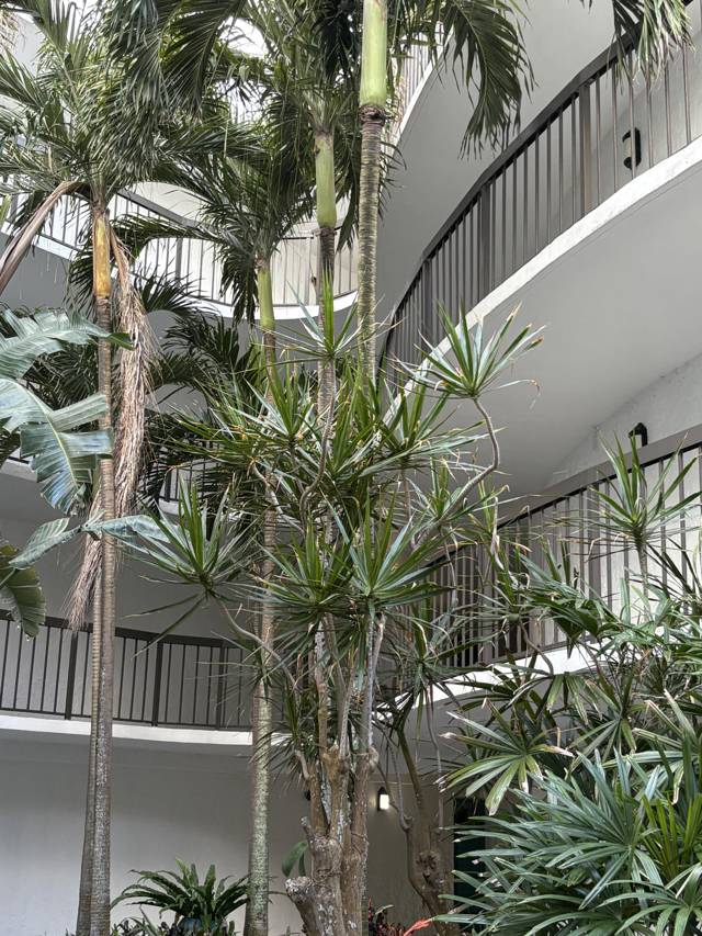 Suntide Condo