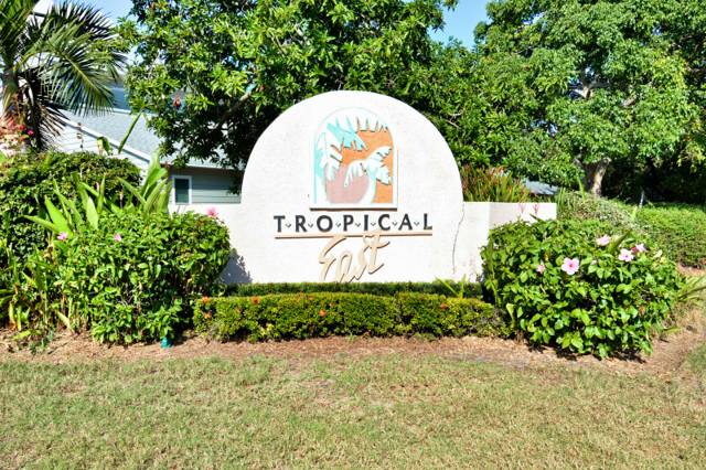 Tropical East