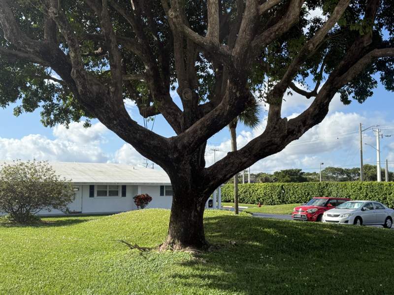 1 bedroom Condominium at 300 SW Golfview Terrace #152, Leisureville Golf View, Boynton Beach — photo 2