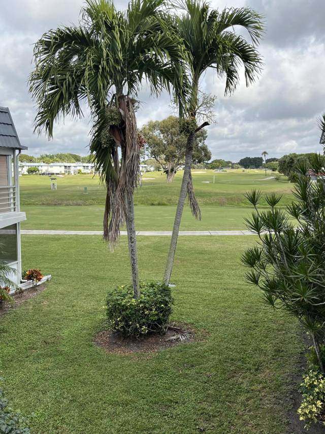 Kings Point