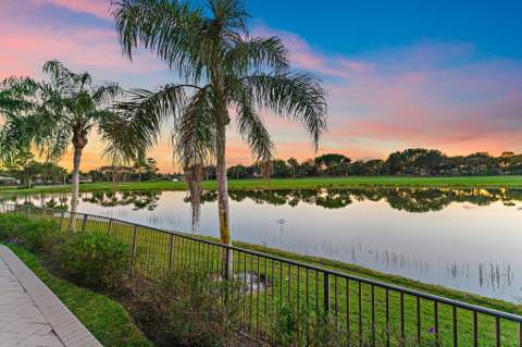 10520 Hawks Landing Terrace, West Palm Beach FL - photo 8 of 154