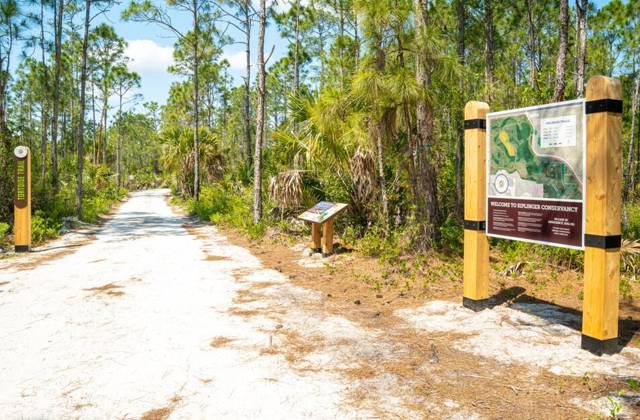 Newfield Crossroads
