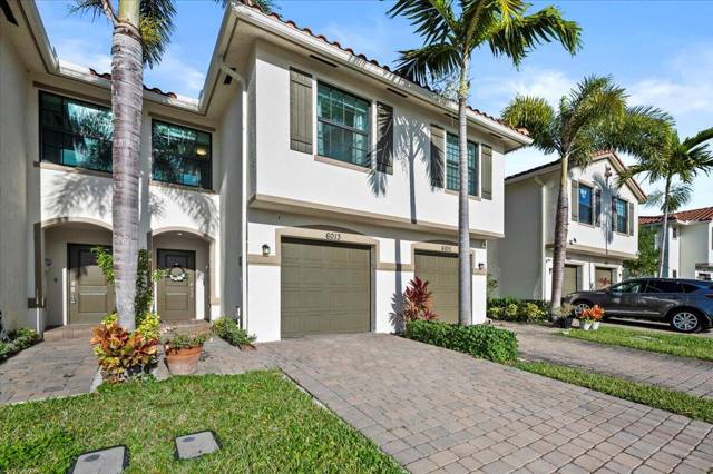 Mediterranea , Arbor Parc