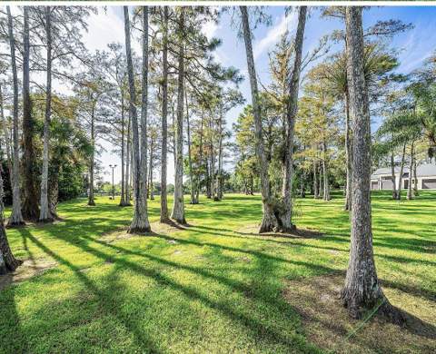 11230 Alligator Trail, Lake Worth FL - photo 14 of 70