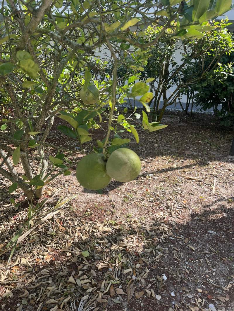 2 bedroom Condominium at 2302 Sunrise Boulevard #3-201, Inlet House Condominium, Fort Pierce — photo 2