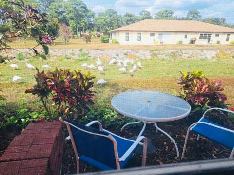 14050 Nesting Way #B, Delray Beach FL - photo 18 of 18